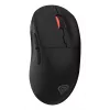 GENESIS Zircon XIII pelė žaidimams Ambidextrous RF Wireless + USB Type-C Optinė 26000 DPI