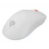 GENESIS Zircon XIII pelė žaidimams Ambidextrous RF Wireless + USB Type-C Optinė 26000 DPI