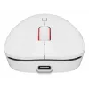 GENESIS Zircon XIII pelė žaidimams Ambidextrous RF Wireless + USB Type-C Optinė 26000 DPI