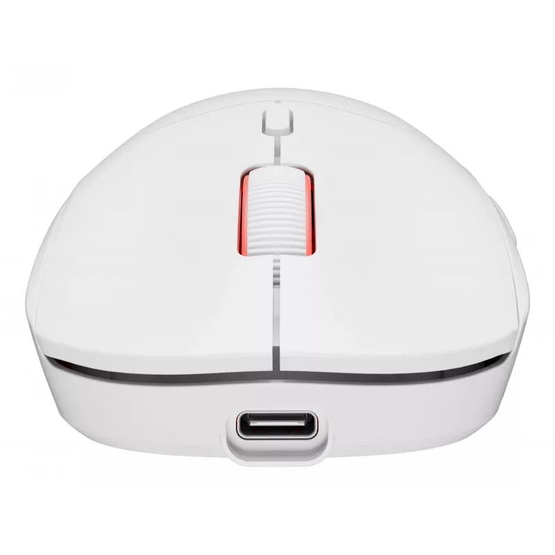 GENESIS Zircon XIII pelė žaidimams Ambidextrous RF Wireless + USB Type-C Optinė 26000 DPI
