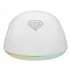 GENESIS Zircon XIII pelė žaidimams Ambidextrous RF Wireless + USB Type-C Optinė 26000 DPI