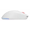 GENESIS Zircon XIII pelė žaidimams Ambidextrous RF Wireless + USB Type-C Optinė 26000 DPI