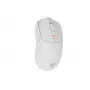 GENESIS Zircon 500 pelė žaidimams Dešinei rankai RF belaidis + Bluetooth + USB Type-C Optinė 10000 DPI