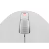 GENESIS Zircon 500 pelė žaidimams Dešinei rankai RF belaidis + Bluetooth + USB Type-C Optinė 10000 DPI