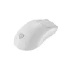 GENESIS Zircon 500 pelė žaidimams Dešinei rankai RF belaidis + Bluetooth + USB Type-C Optinė 10000 DPI