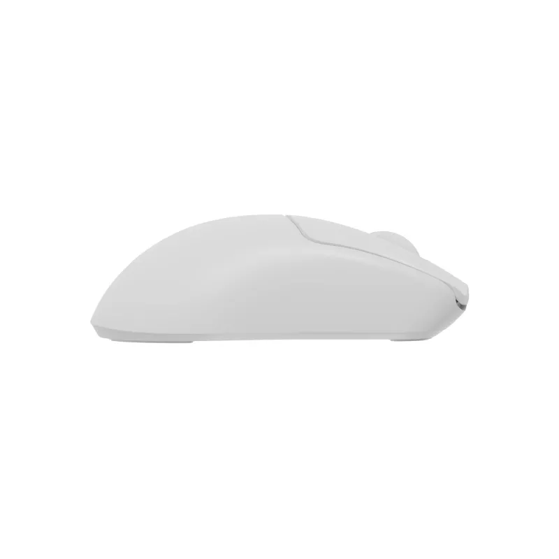 GENESIS Zircon 500 pelė žaidimams Dešinei rankai RF belaidis + Bluetooth + USB Type-C Optinė 10000 DPI