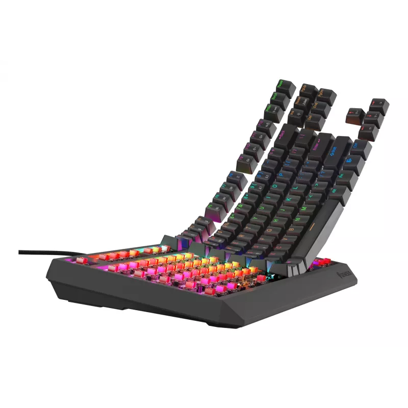 GENESIS Thor 230 TKL Lite klaviatūra, skirta žaidimams, USB, QWERTY, angliška, juoda