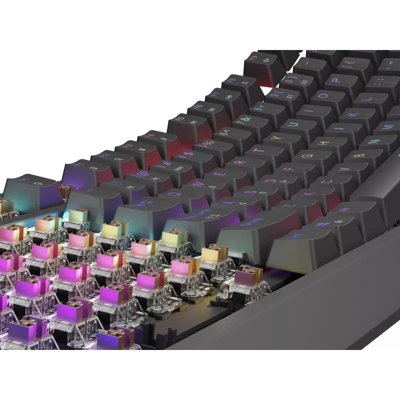 Mechaninė žaidimų klaviatūra Genesis Thor 230 TKL — Tenkeyless, US QWERTY, Outemu Brown jungikliai, RGB, 1000 Hz, USB