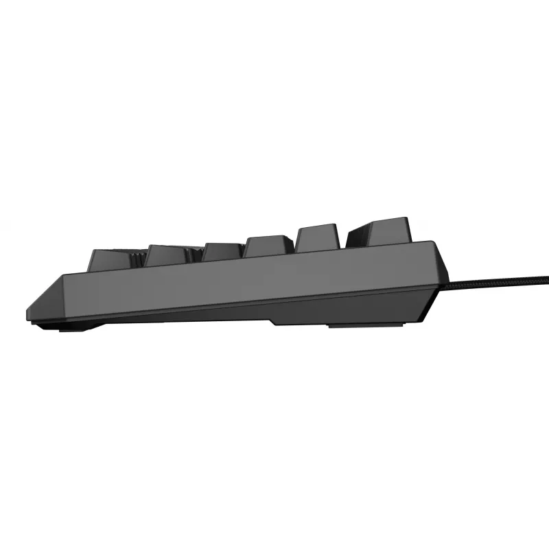 Mechaninė žaidimų klaviatūra Genesis Thor 230 TKL — Tenkeyless, US QWERTY, Outemu Brown jungikliai, RGB, 1000 Hz, USB