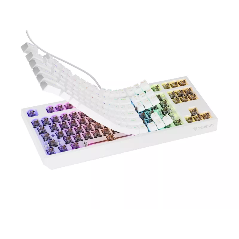 GENESIS Thor 230 TKL klaviatūra Gaming USB + RF Wireless + Bluetooth QWERTY balta