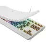 GENESIS Thor 230 TKL klaviatūra Gaming USB + RF Wireless + Bluetooth QWERTY balta