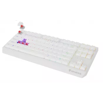 Žaidimų klaviatūra be skaičių bloko GENESIS Thor 230 TKL — USB, RF belaidis, Bluetooth, QWERTY, balta