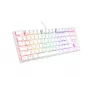 GENESIS Thor 303 TKL klaviatūra Gaming USB QWERTY US International White