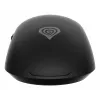 GENESIS Krypton 660 pelė, žaidimams, dešiniarankiams, USB Type-A, optinė, 12000 DPI