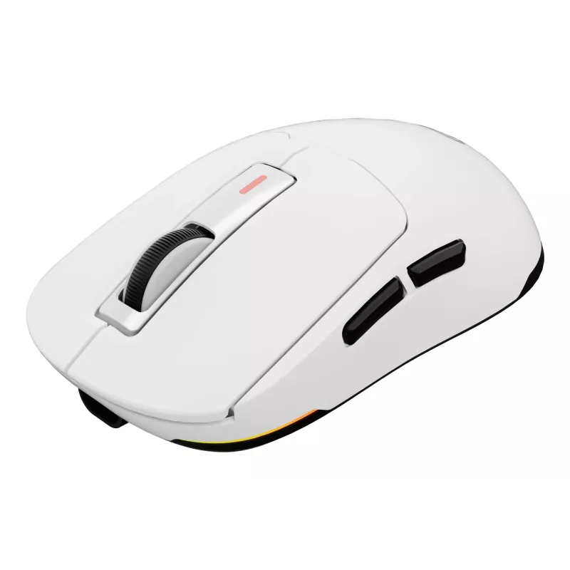 GENESIS Zircon 660 pelė žaidimams Dešinei rankai RF belaidis + Bluetooth + USB Type-A Optinė 12000 DPI