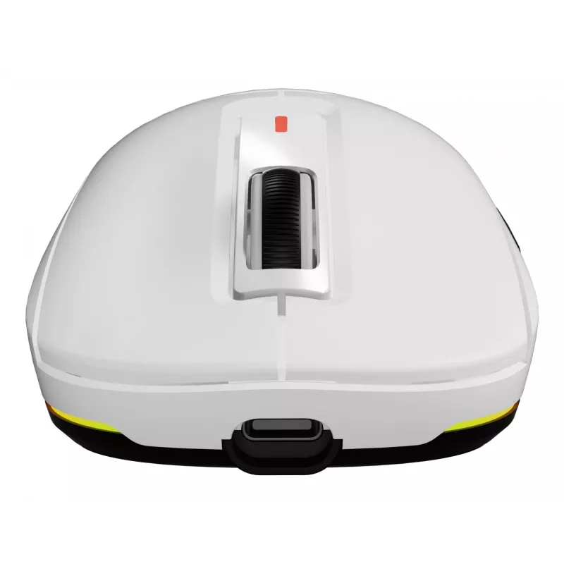 GENESIS Zircon 660 pelė žaidimams Dešinei rankai RF belaidis + Bluetooth + USB Type-A Optinė 12000 DPI