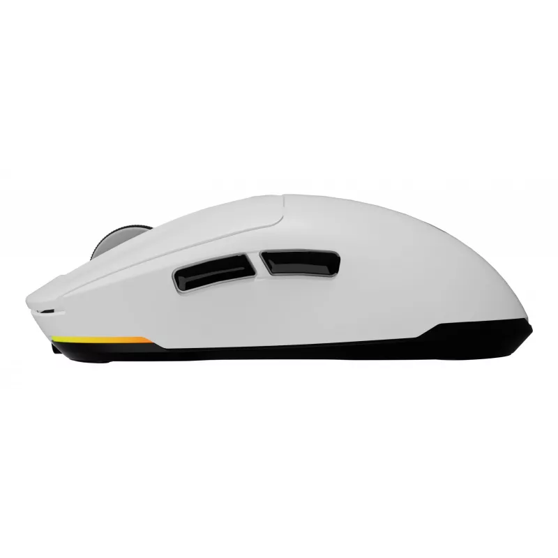 GENESIS Zircon 660 pelė žaidimams Dešinei rankai RF belaidis + Bluetooth + USB Type-A Optinė 12000 DPI