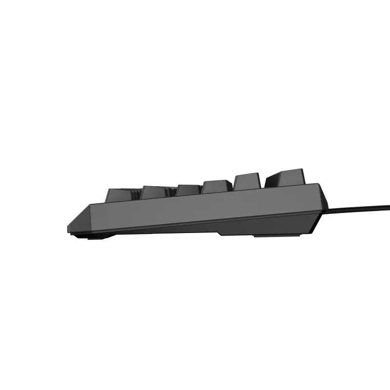 GENESIS Thor 230 TKL klaviatūra žaidimams USB + RF belaidis + Bluetooth QWERTY Juoda