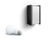 Išmanusis sieninis šviestuvas Philips Hue White Turaco Outdoor