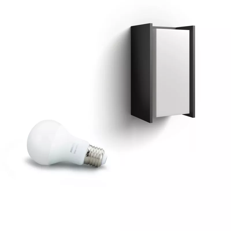 Išmanusis sieninis šviestuvas Philips Hue White Turaco Outdoor