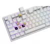 Mechaninė klaviatūra GENESIS THOR 404, pilno dydžio USB, QWERTY anglų k., RGB apšvietimas, balta