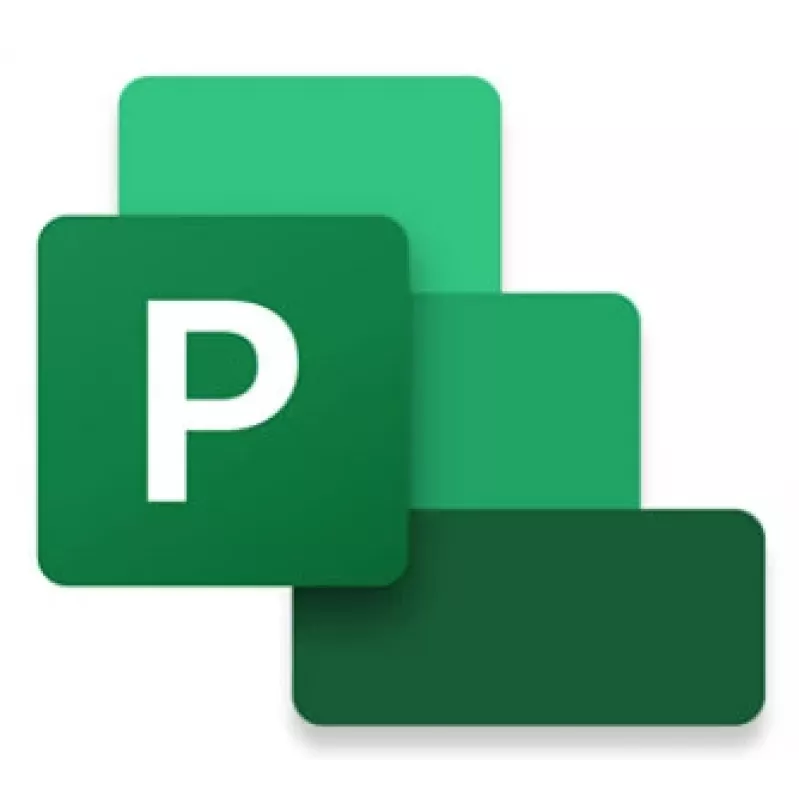 Projektų valdymas Microsoft Project Professional 2024 Pilna 1 licencija Windows 10 11