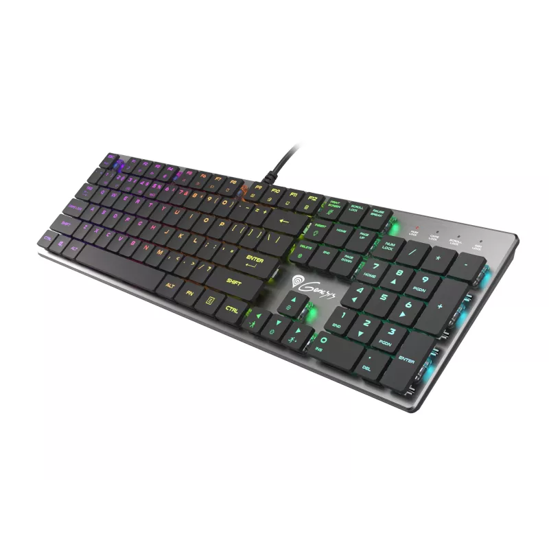 GENESIS Thor 420 RGB klaviatūra žaidimams USB QWERTY US International sidabrinė