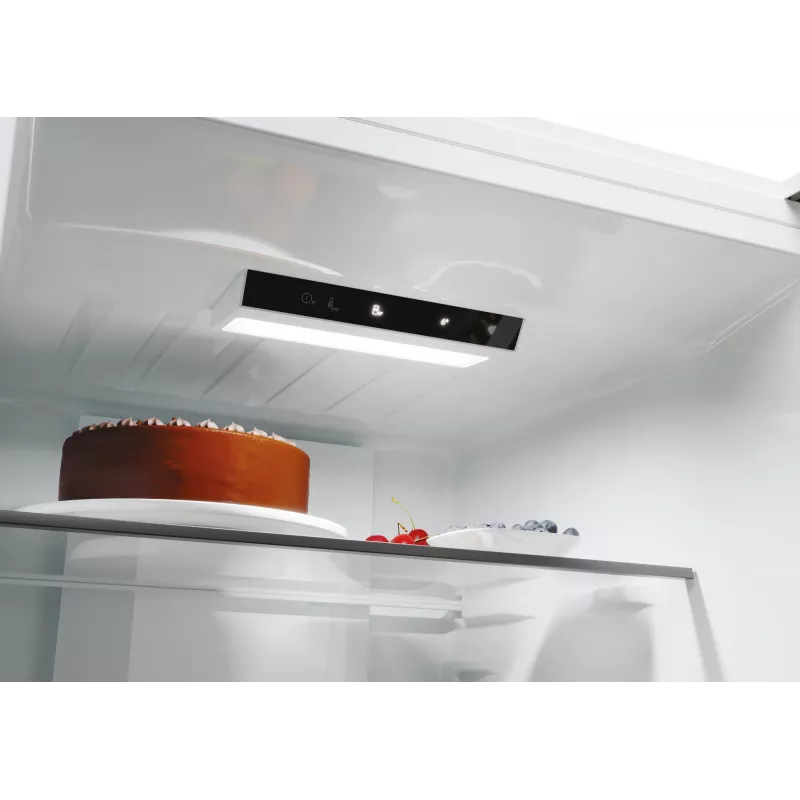 Candy ECN2CQTEX186 Laisvai pastatomas 355 L Nerūdijantis plienas