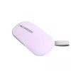 ASUS Marshmallow MD100 pelė biurui, abiem rankoms, RF belaidė + Bluetooth optinė 1600 DPI