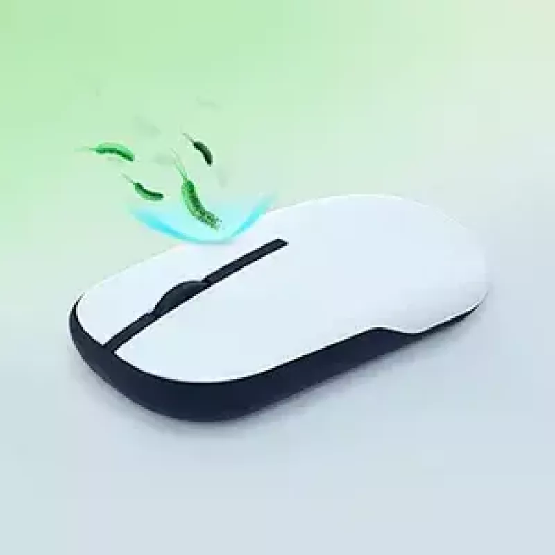 ASUS Marshmallow MD100 pelė biurui, abiem rankoms, RF belaidė + Bluetooth optinė 1600 DPI