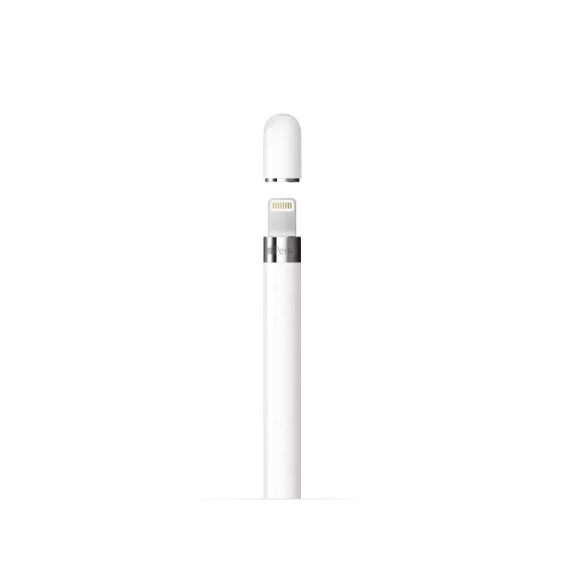 APPLE Apple Pencil 1-osios kartos (MYQW3ZM/A)