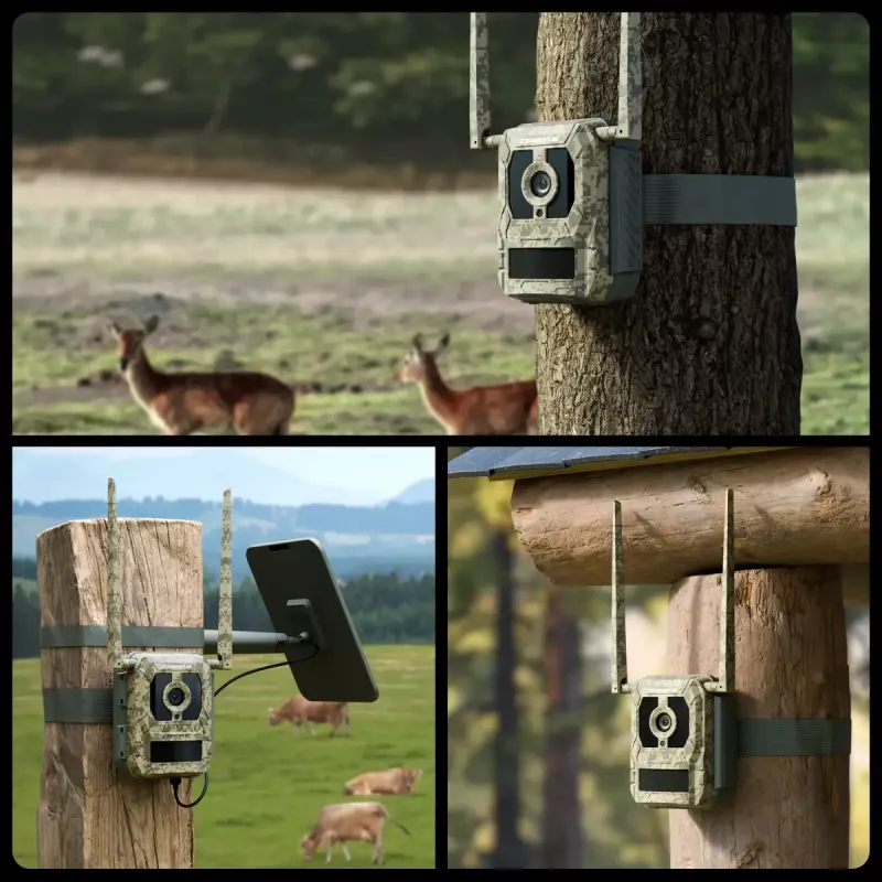 Lauko stebėjimo kamera Reolink Camovue Talon S130 4G LTE, 8 MP, 3840×2160, 95° H × 50.2° V, IP67, įkraunama USB‑C, lauko sąlygoms