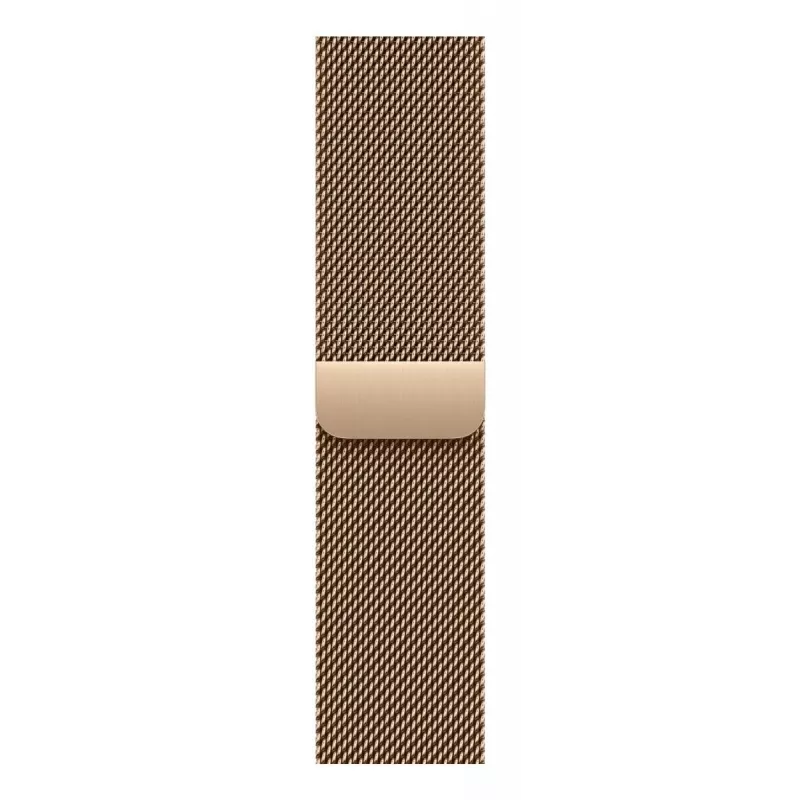 APPLE 42 mm auksinė „Milanese“ kilpa