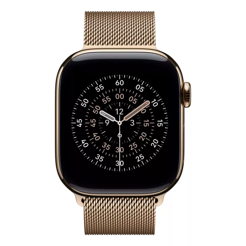 APPLE 42 mm auksinė „Milanese“ kilpa