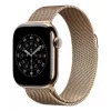 APPLE 42 mm auksinė „Milanese“ kilpa