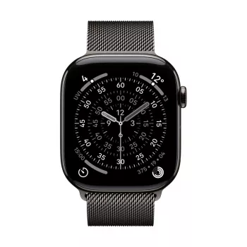Apyrankė Apple MGJ74ZM/A išmaniojo laikrodžio priedai Šiferio spalva nerūdijantis plienas 46 mm