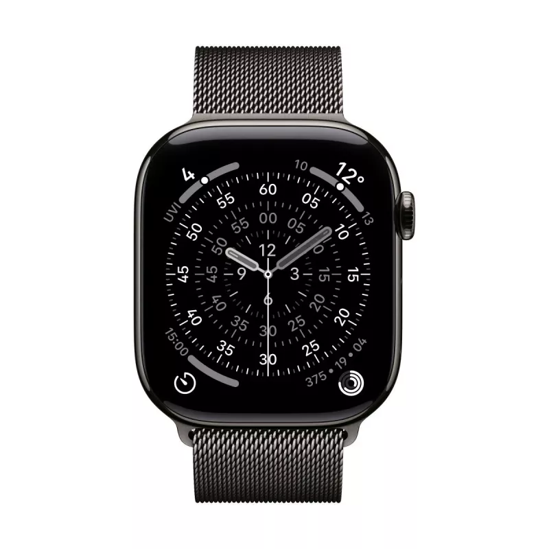 Apyrankė Apple MGJ74ZM/A išmaniojo laikrodžio priedai Šiferio spalva nerūdijantis plienas 46 mm