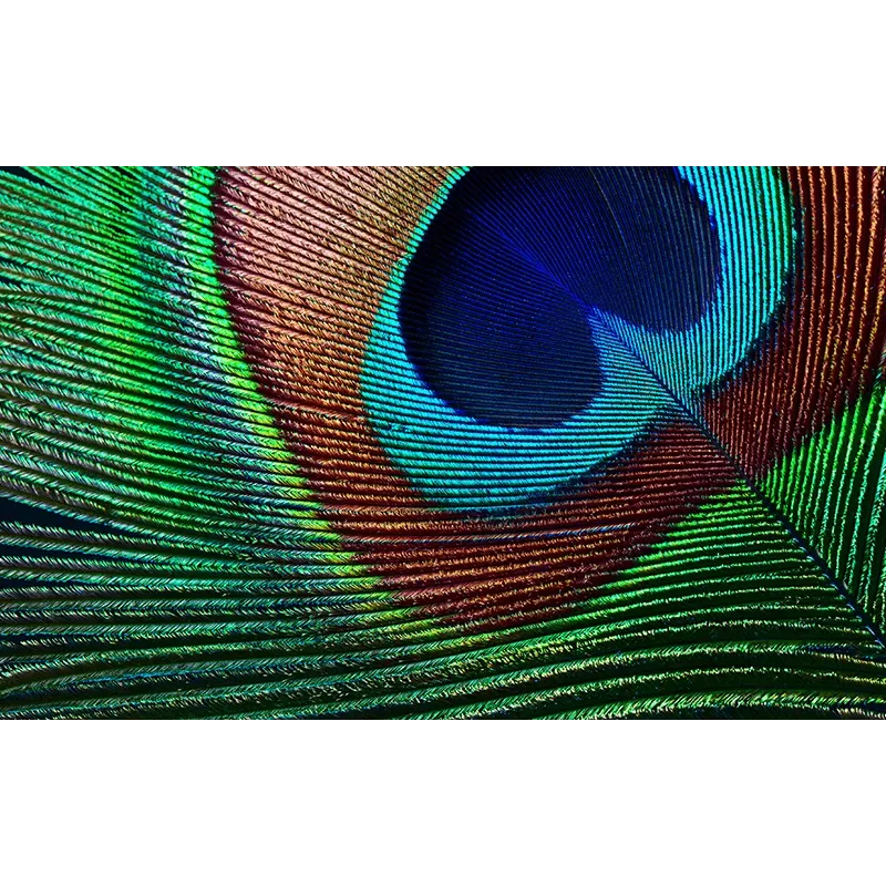 Epson EH-TW7000 standartinio fokusavimo projektorius 3000 ANSI liumenų 3LCD UHD 4K (3840x2160) 3D Baltas