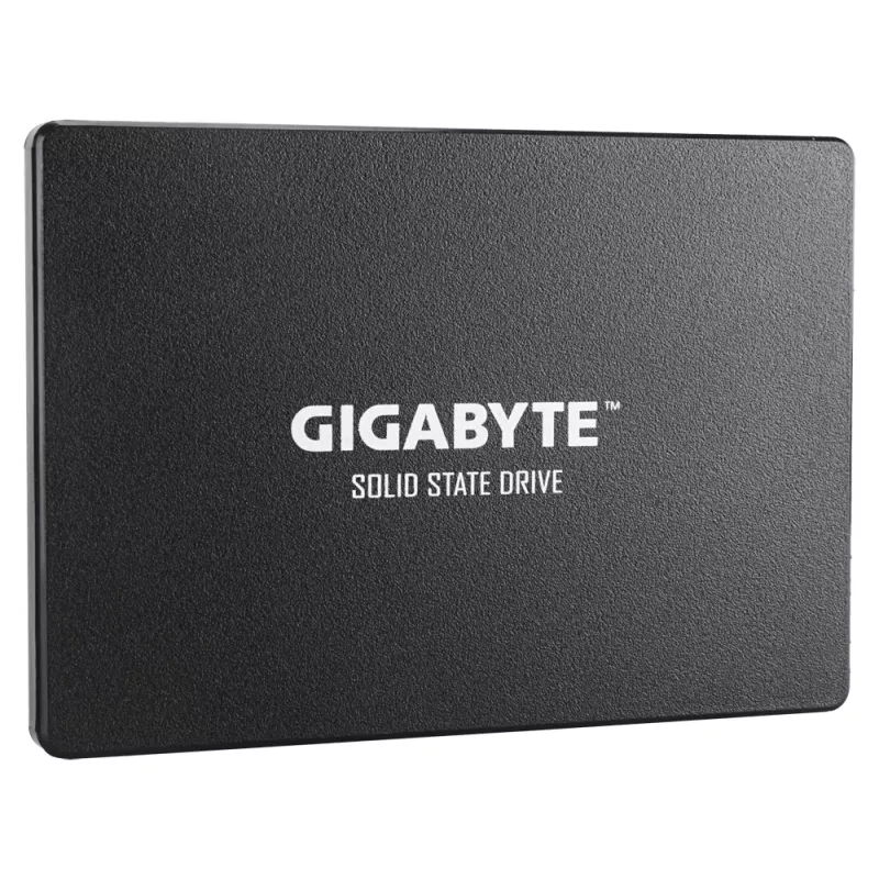 GIGABYTE GP-GSTFS31256GTND vidinis kietojo kūno diskas 256 GB 2.5 col. Serial ATA III V-NAND