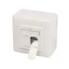 Dvigubas lizdas 2 x RJ-45 LogiLink NP0124