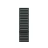 Dirželis Apple 41 mm Evergreen Magnetic Link M/L Žalias