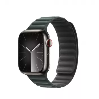 Dirželis Apple 41 mm Evergreen Magnetic Link M/L Žalias