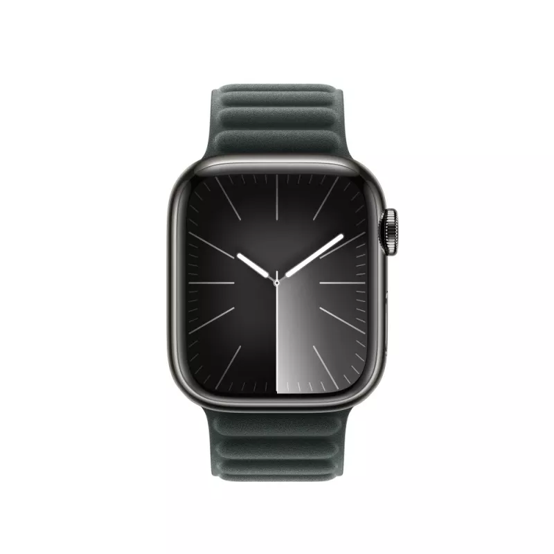 Dirželis Apple 41 mm Evergreen Magnetic Link M/L Žalias