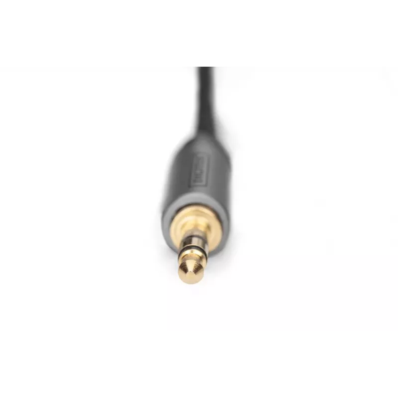 Garso adapterio laidas Digitus DB-510330-010-S 3,5 mm į RCA 1 m juodas