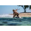 Ausinės Shokz OpenSwim Pro — atviros ausies kaulinio laidumo belaidės ausinės, IP68 atsparios vandeniui, Bluetooth 5.4, 32 GB, 9 h atkūrimo, pilkos