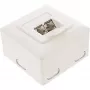 Sieninis lizdų dėklas InLine Cat.6 2x RJ45 horizontalus — paviršinis arba įleidžiamas montavimas
