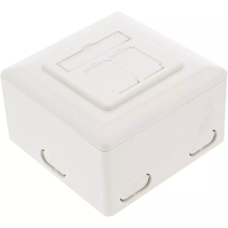 Sieninis lizdų dėklas InLine Cat.6 2x RJ45 horizontalus — paviršinis arba įleidžiamas montavimas