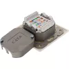 Sieninis lizdų dėklas InLine Cat.6 2x RJ45 horizontalus — paviršinis arba įleidžiamas montavimas