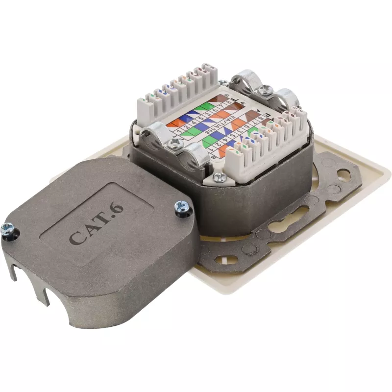 Sieninis lizdų dėklas InLine Cat.6 2x RJ45 horizontalus — paviršinis arba įleidžiamas montavimas
