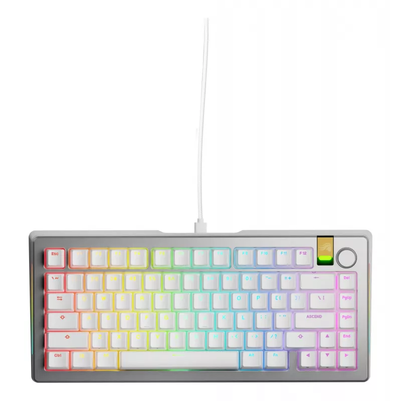 Mechaninė žaidimų klaviatūra GLORIOUS GMMK 3 PRO HE 75% surinkta laidinė USB QWERTY sidabrinė